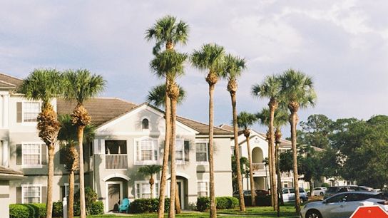 Want More Apartment Space? Look No Further Than Tallahassee and Gainesville. (Live in Florida )