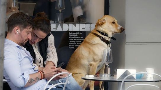 Tampa and Orlando Rank High for Dog-Friendly Restaurants (Live in Florida )