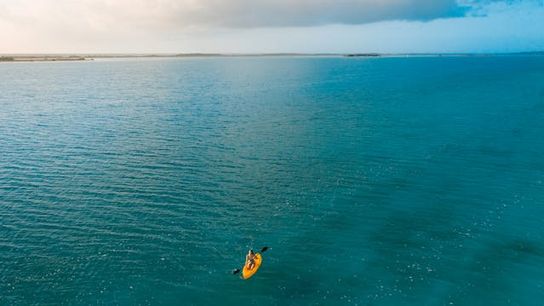 Port St. Lucie: A Rising Star in Florida's Real Estate Market (Live in Florida )