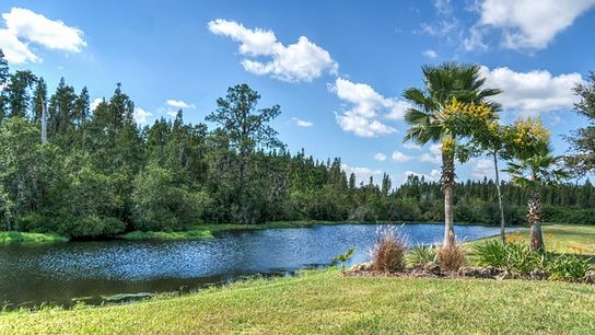 Ocala, Florida: A Fast-Growing Haven for Homebuyers (Live in Florida )