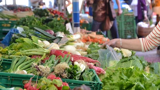 Top Farmers Markets in Florida: A Guide to Fresh Produce and Community Spirit (Live in Florida )
