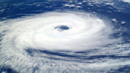 How to Prepare for Hurricane Season in Florida (Live in Florida )