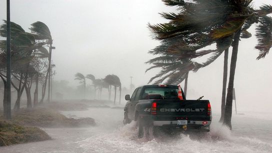 Florida Businesses Can Deduct Casualty Losses, Even Without a Declared Disaster (Do Business in Florida)