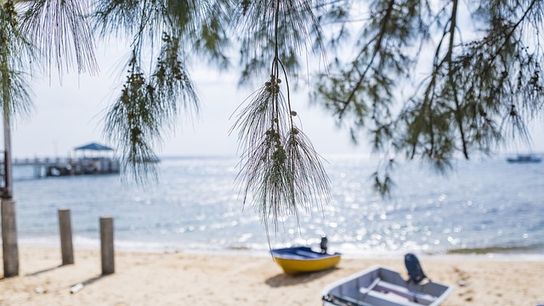 Santa Rosa Beach Real Estate Shows Strong Five-Year Growth Despite Recent Cooling (Live in Florida )