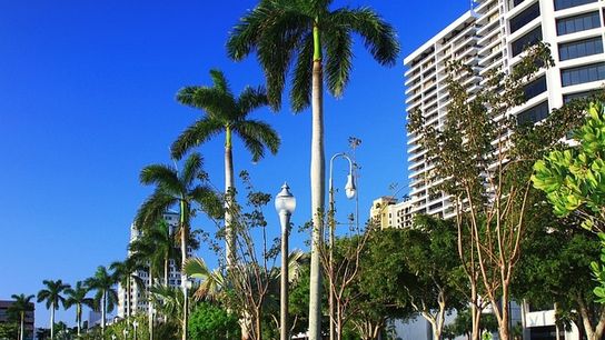 Florida Commercial Foreclosures Surge in 2024 (Do Business in Florida)