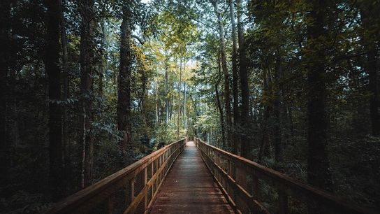 Weather Patterns in Northern Florida: What to Expect (featured)