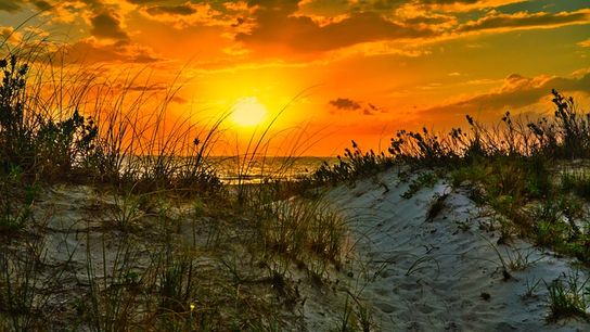 Marco Island Voted One of the Safest Cities in the USA (Live in Florida )